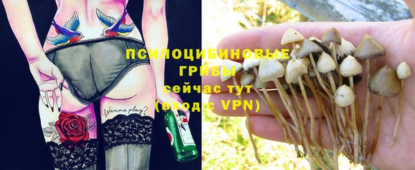 соль ск Балабаново