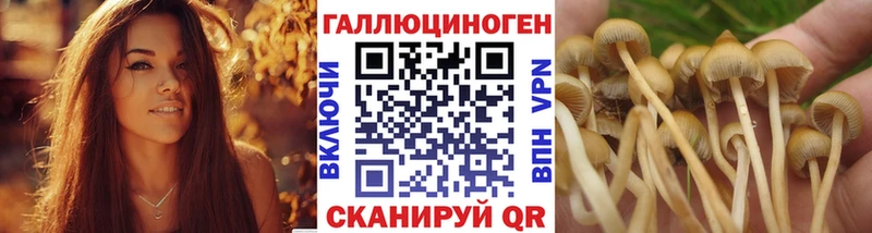 Псилоцибиновые грибы MAGIC MUSHROOMS  Соль-Илецк 
