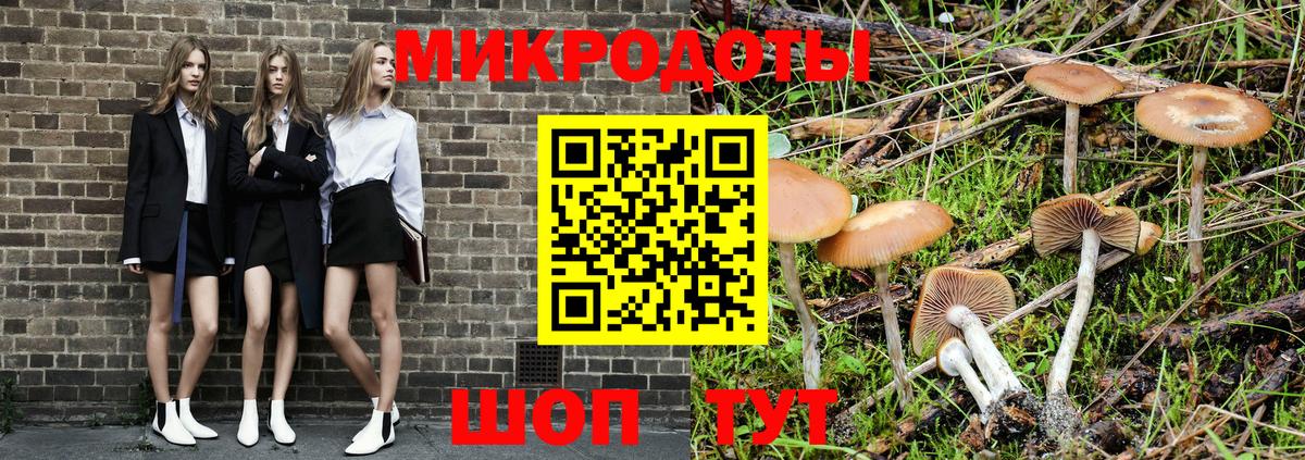 Галлюциногенные грибы Psilocybine cubensis  Вход с VPN  Соль-Илецк 